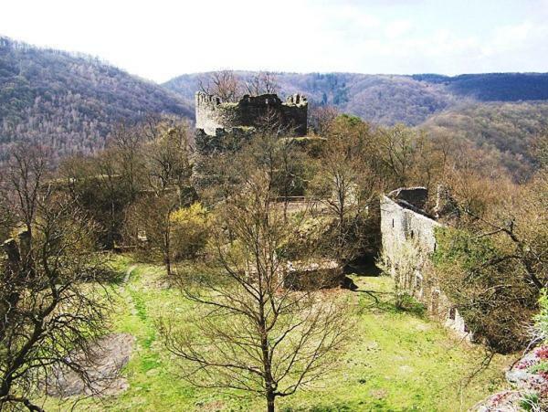 Garden Apartments Znojmo Εξωτερικό φωτογραφία